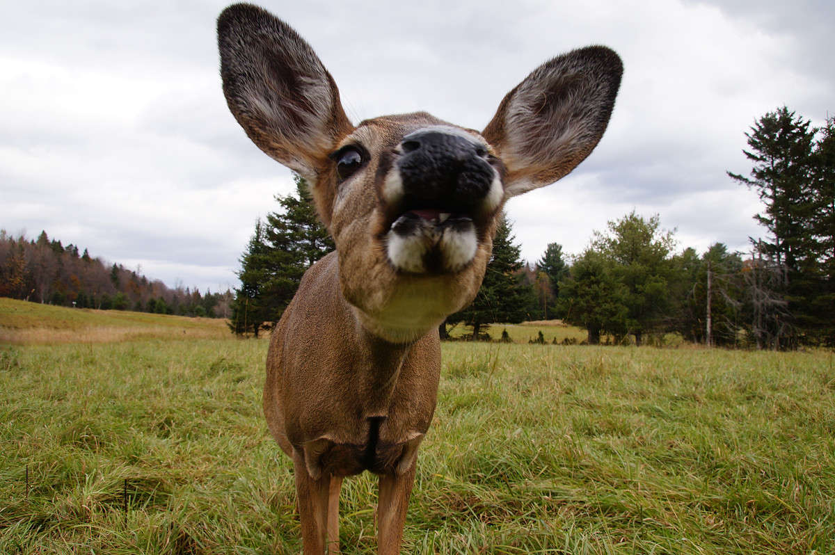 ��������� ����� �������  �� PhotoGeek.ru #�������� ���