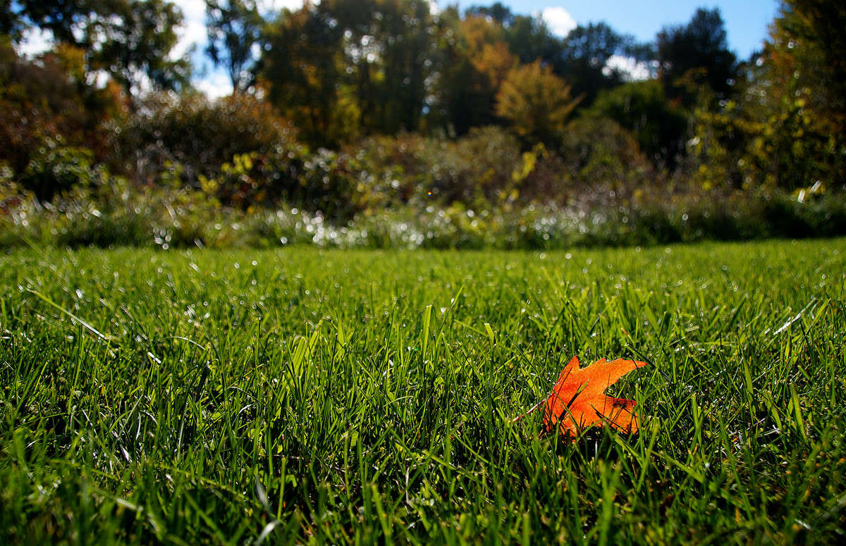 ������� �� ���� ����� �������  �� PhotoGeek.ru #������ ��� �������