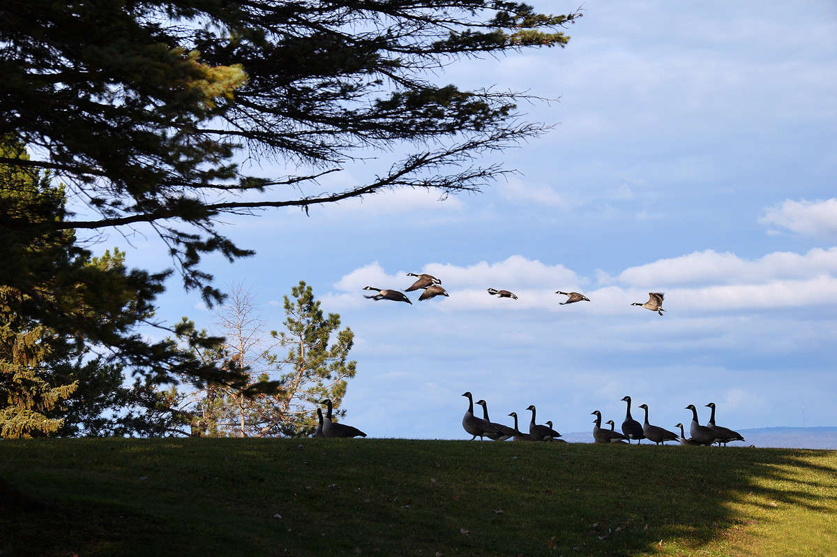 � ��������� ���� �������� ����� �������  �� PhotoGeek.ru #�������� ���