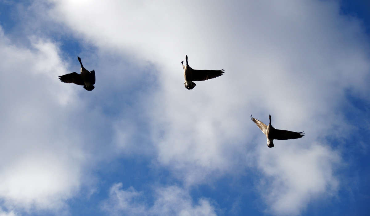 ������ �������! ����� �������  �� PhotoGeek.ru #�������� ���