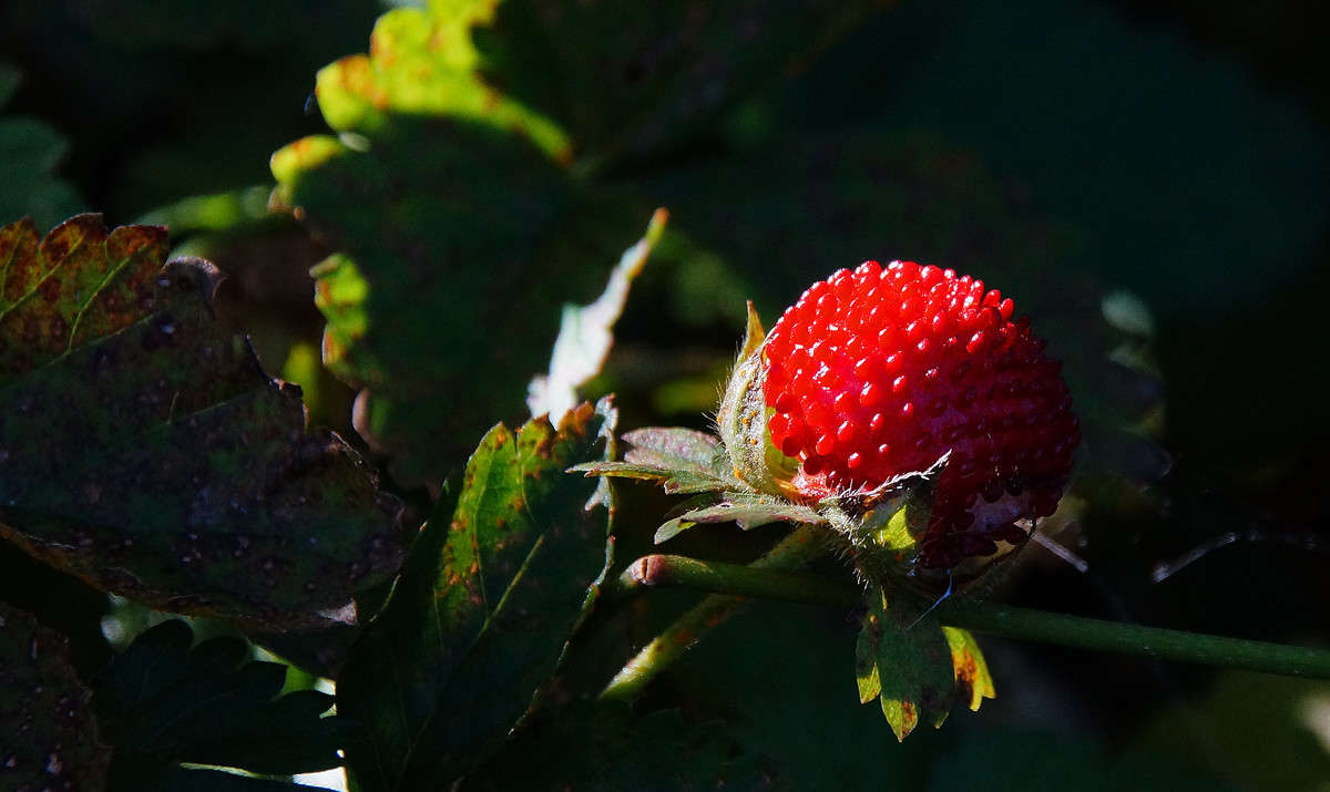 ������ ����� ����� ����� �������  �� PhotoGeek.ru #������ ��� �������