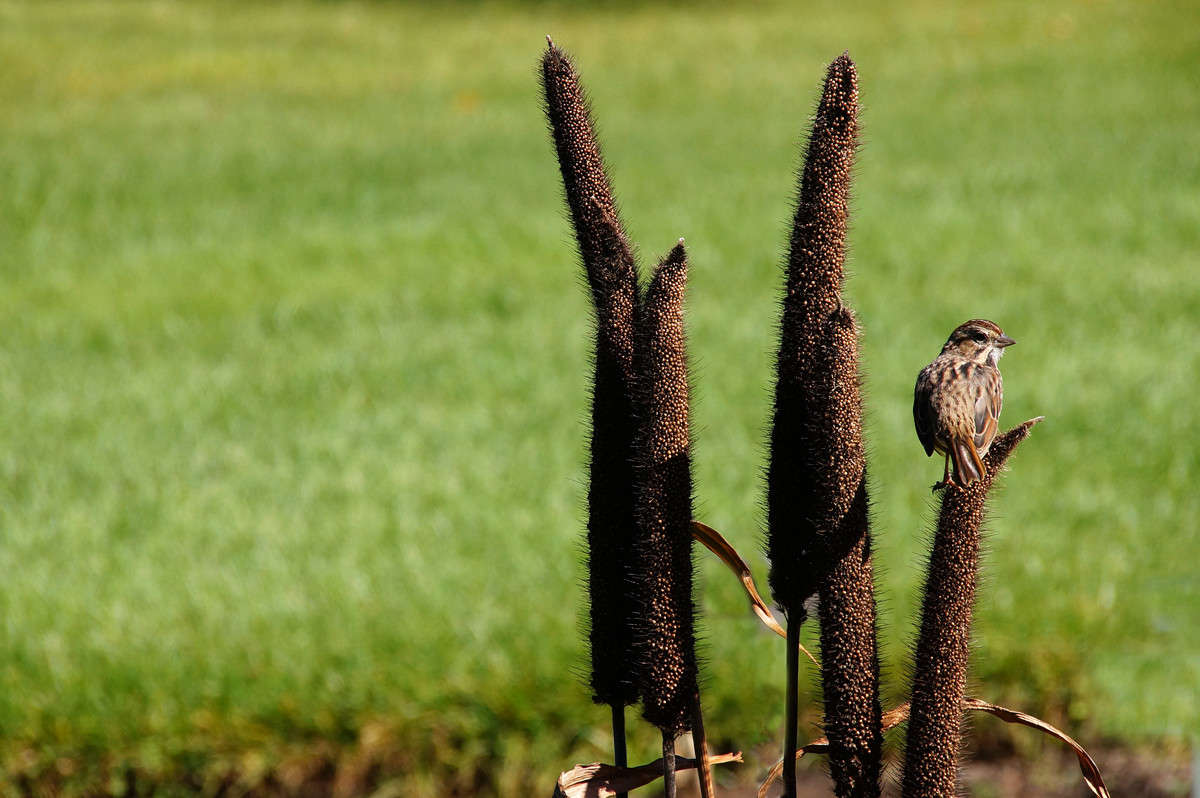 �� ������ ����� �������  �� PhotoGeek.ru #�������� ���