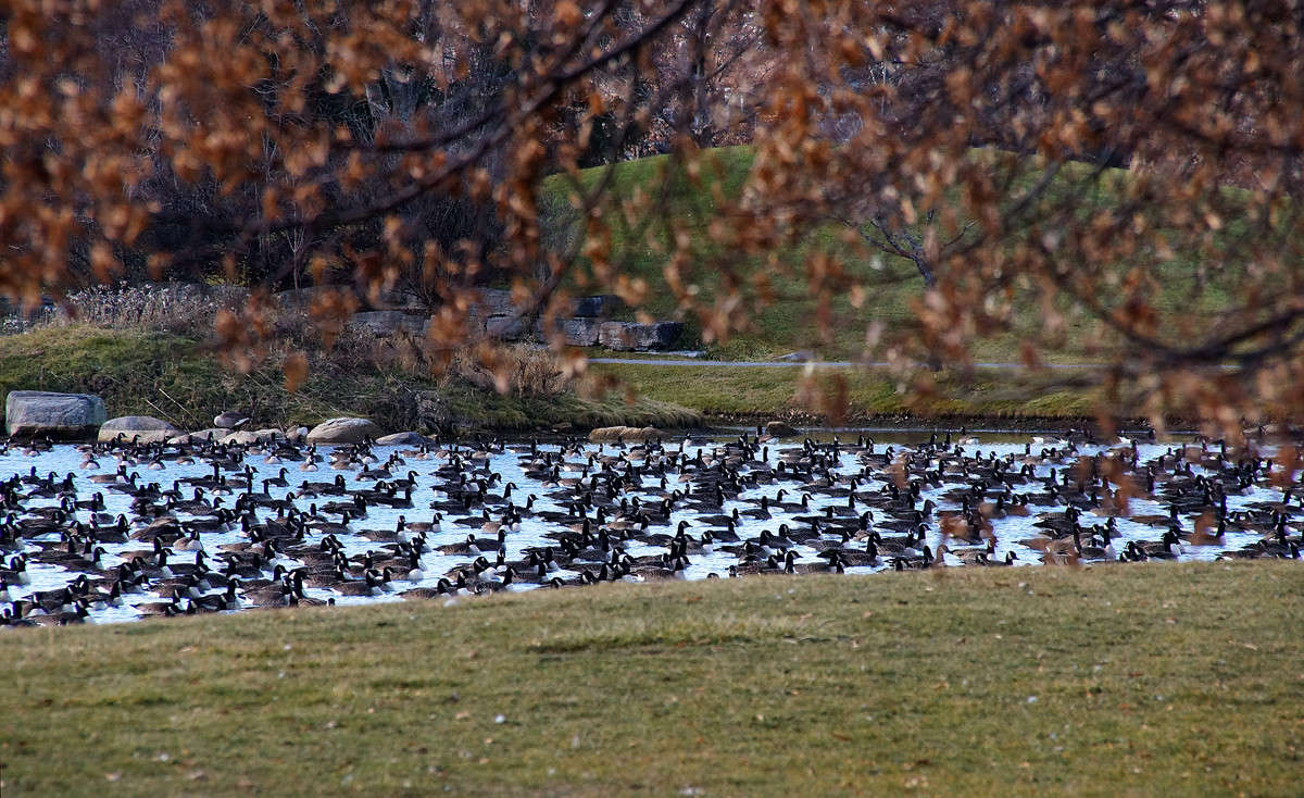 ����������� ����� �������  �� PhotoGeek.ru #�������� ��� #������ ��� �������