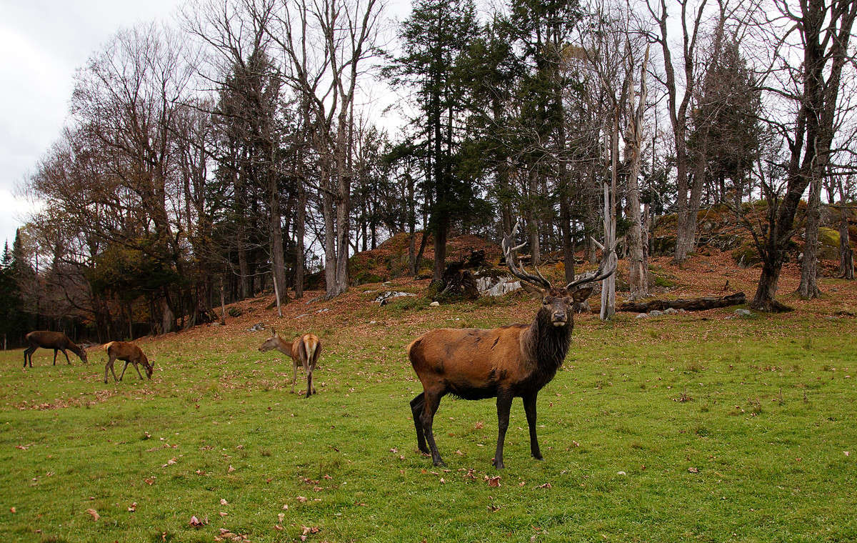 �� �������� ����� �������  �� PhotoGeek.ru #�������� ���