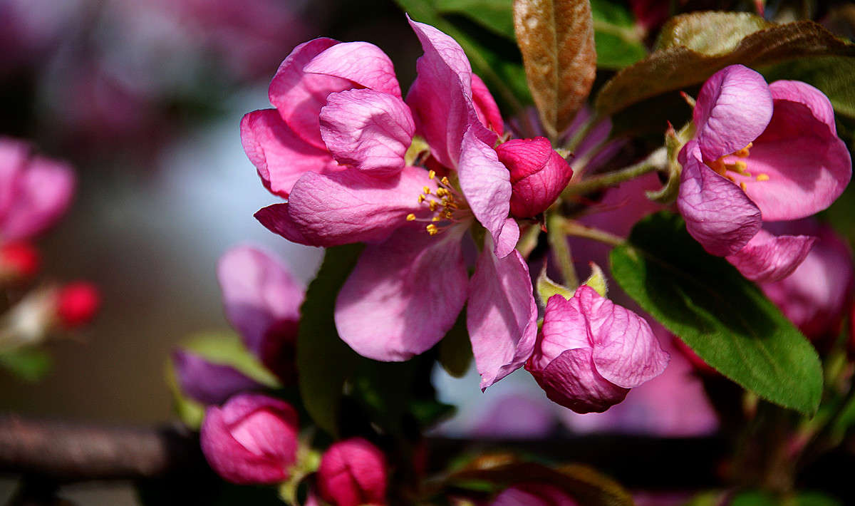 ������ ��� ����� ����� �������  �� PhotoGeek.ru #������ ��� �������