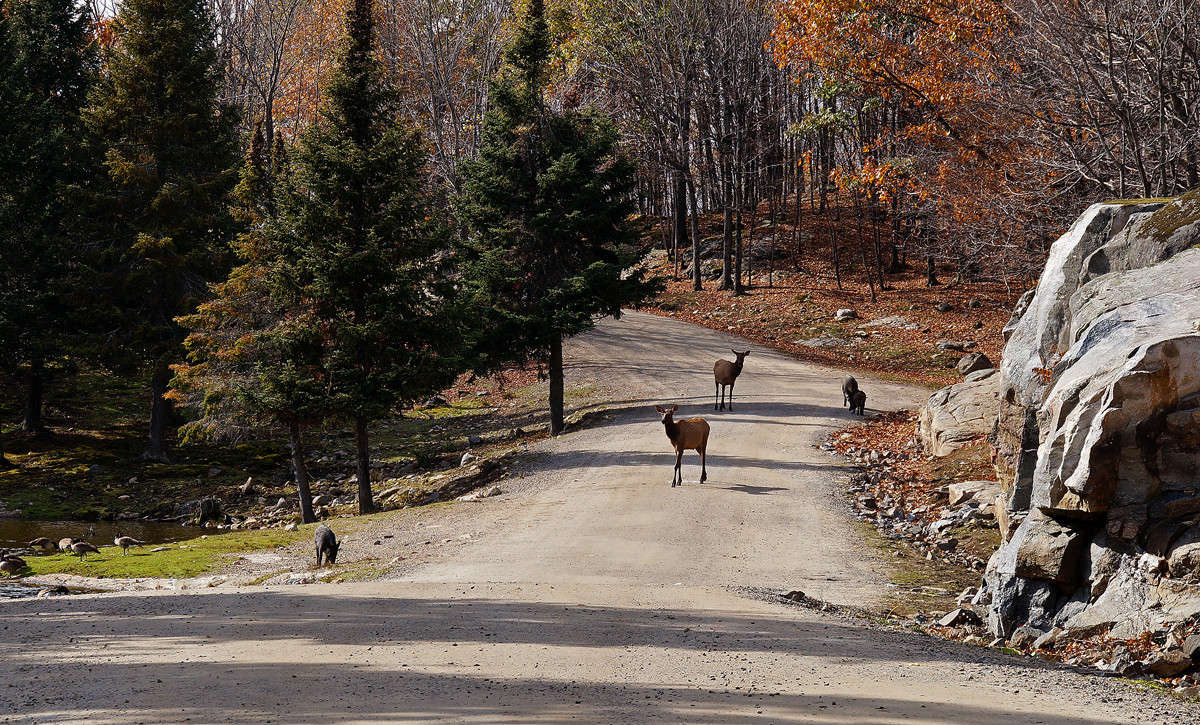 ����� ����� ����� ����� �������  �� PhotoGeek.ru #�������� ��� #������ ��� �������