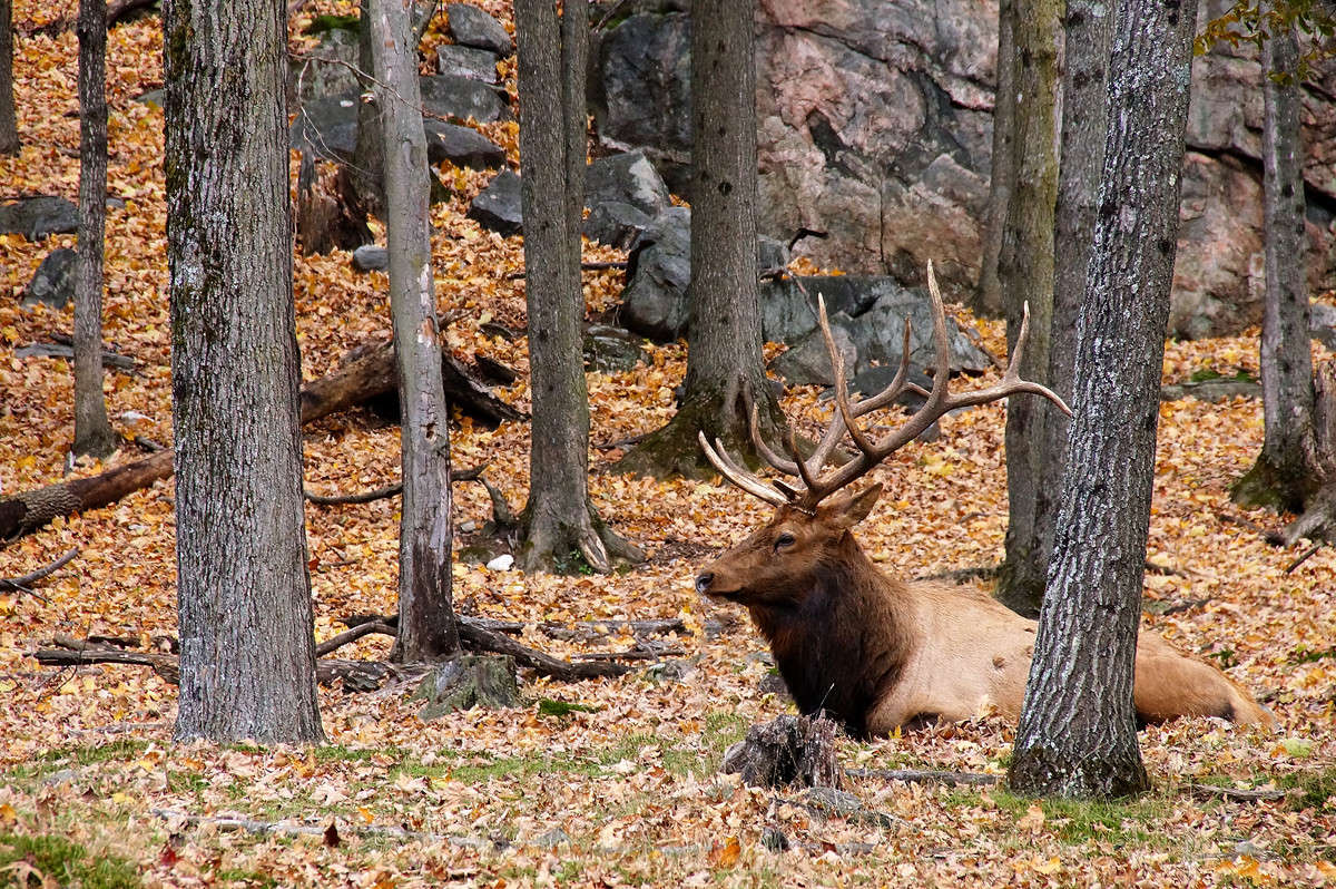 ������ ���� ����� �������  �� PhotoGeek.ru #�������� ��� #������ ��� �������