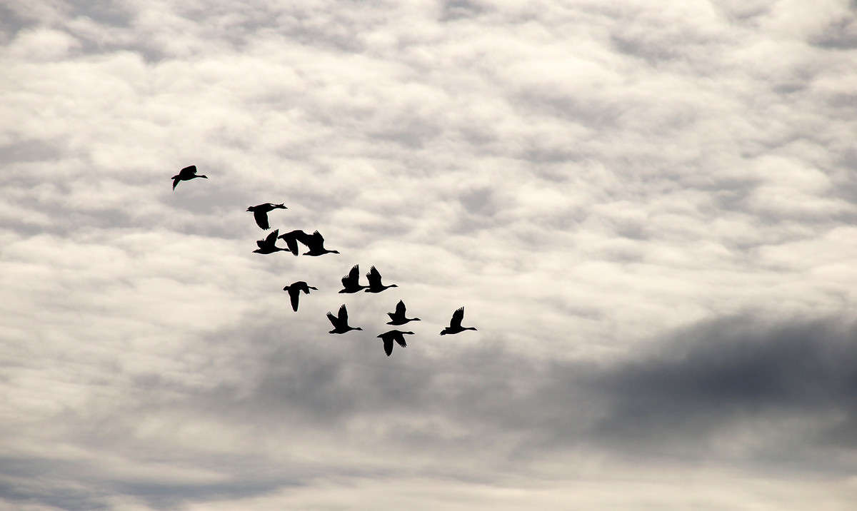 ����������� ����� �������  �� PhotoGeek.ru #�������� ��� #������ ��� �������