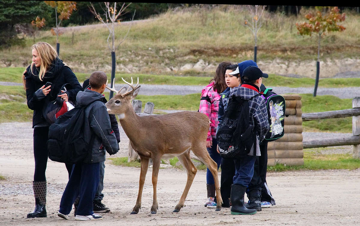 ����� ������ ����� �������  �� PhotoGeek.ru #�������� ��� #�������� ����������