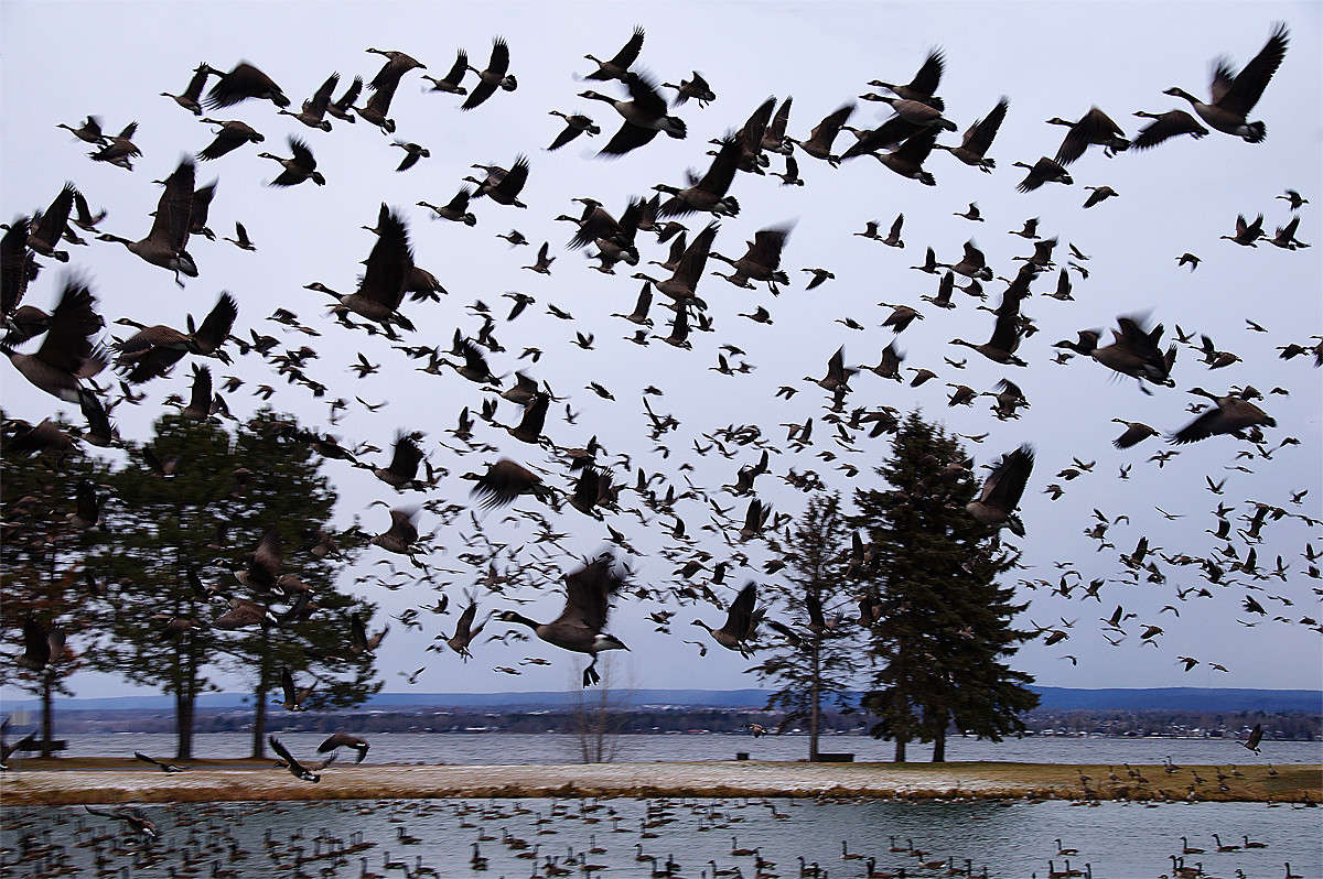 ���� ����, ���� ����� �������  �� PhotoGeek.ru #�������� ��� #������ ��� �������