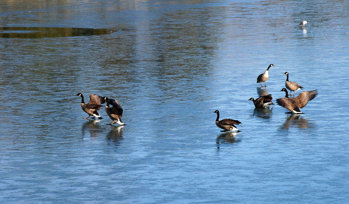 ������� ������� ����� �������  �� PhotoGeek.ru #�������� ���