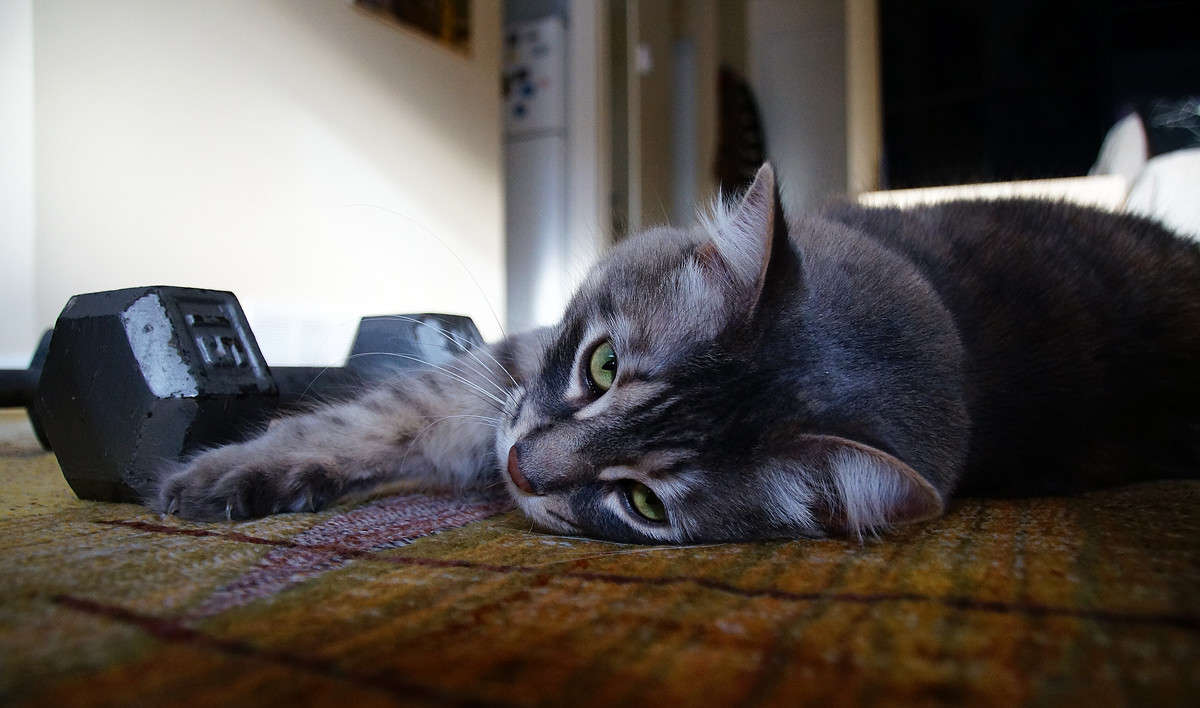 �������������� ����� �������  �� PhotoGeek.ru #�������� ��� #�������� ����������