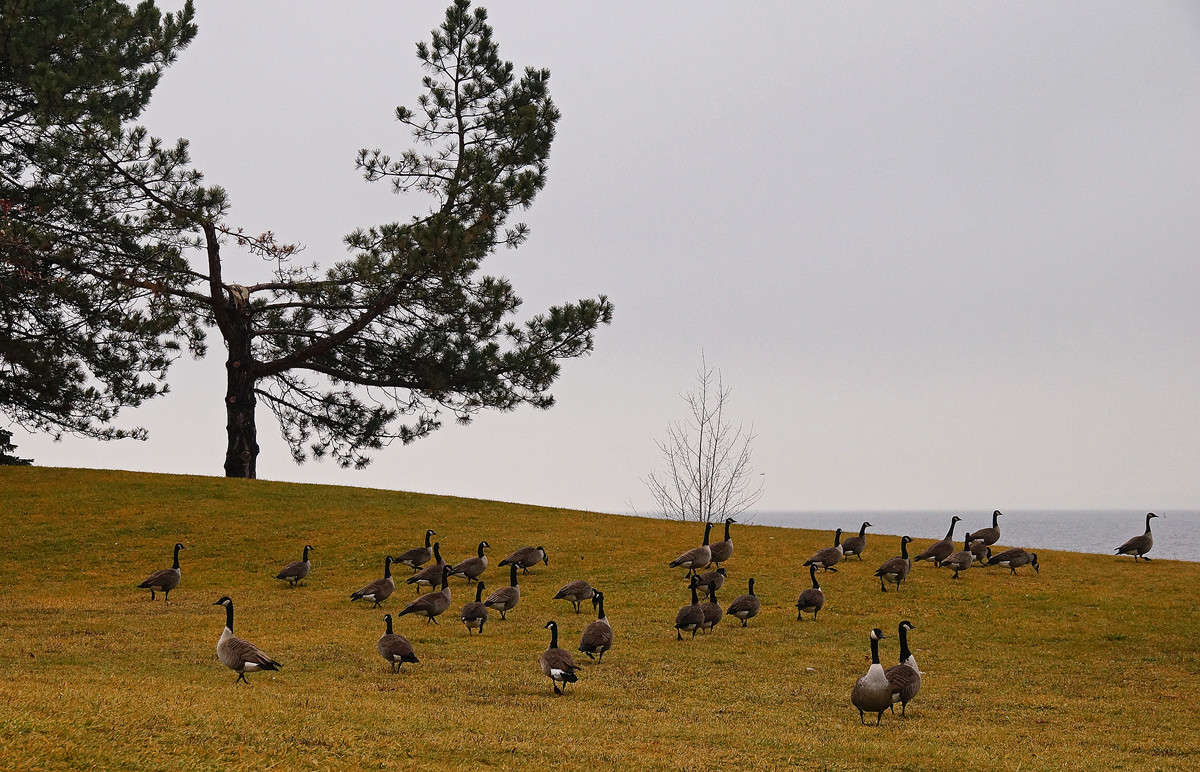 ����������� ������� ����� �������  �� PhotoGeek.ru #�������� ��� #������ ��� �������