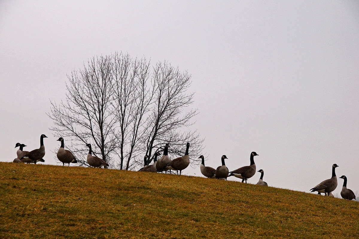 ��� ������? ����� �������  �� PhotoGeek.ru #�������� ��� #������ ��� �������