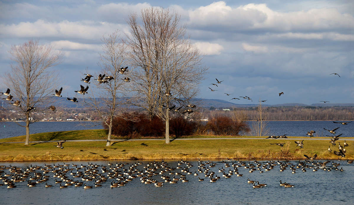 ���� ��� ��� �����? ����� �������  �� PhotoGeek.ru #�������� ��� #������ ��� �������