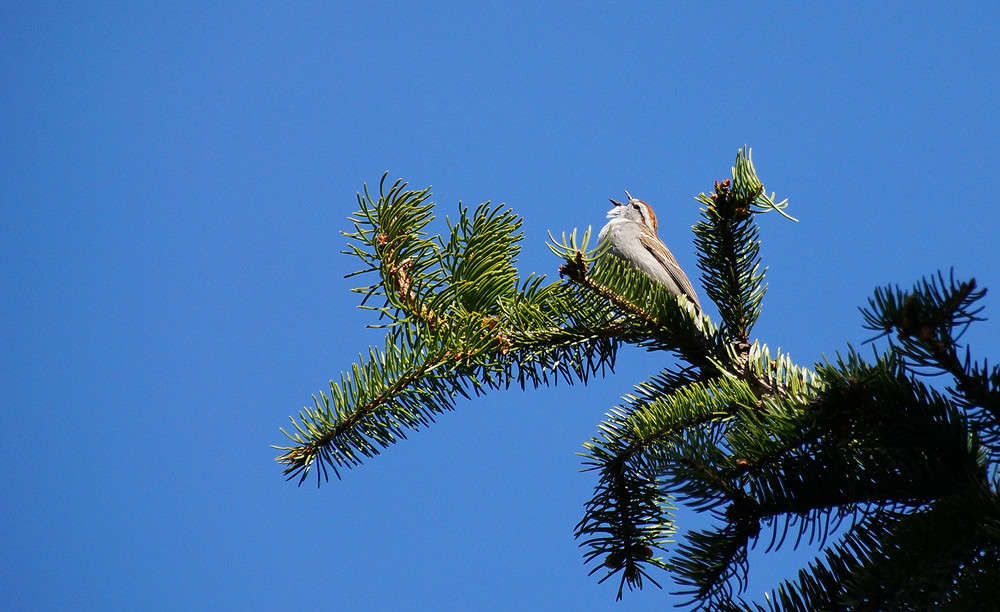 ��� ����� ����� �������  �� PhotoGeek.ru #�������� ���