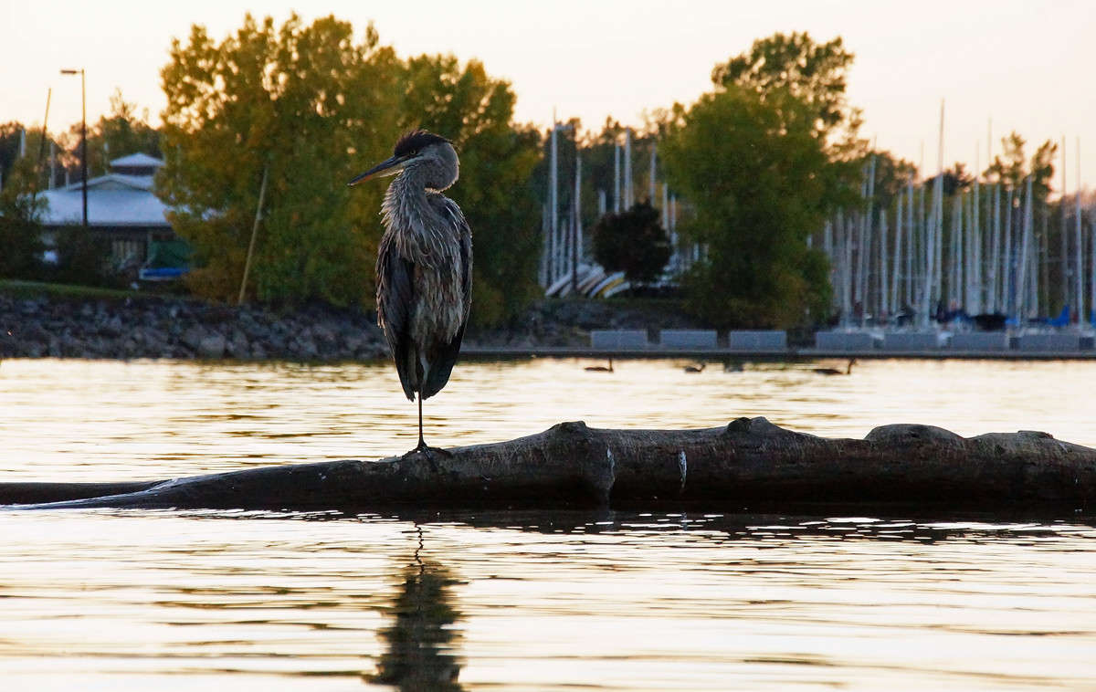 ������ �� ������� ����� �������  �� PhotoGeek.ru #�������� ���