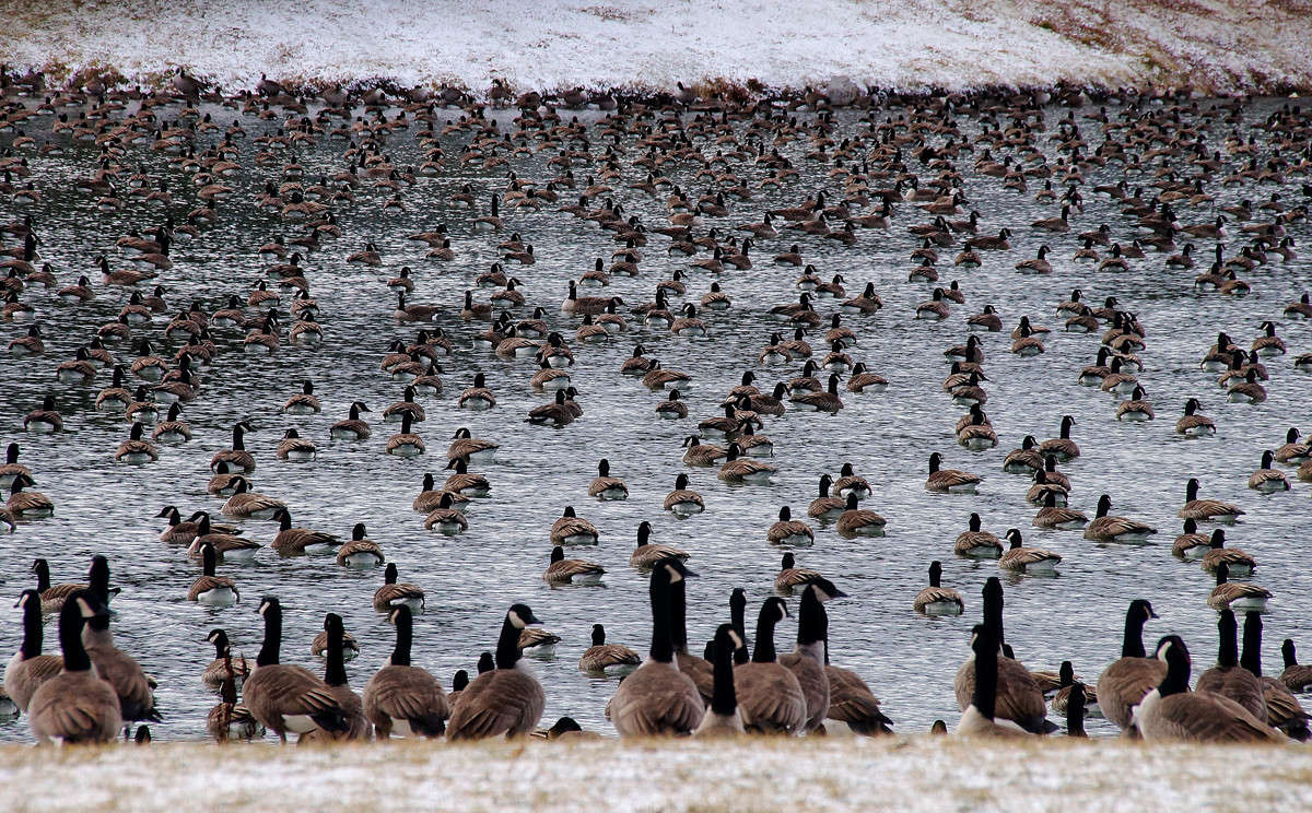 ��� �� - ���� ����� �������  �� PhotoGeek.ru #�������� ���