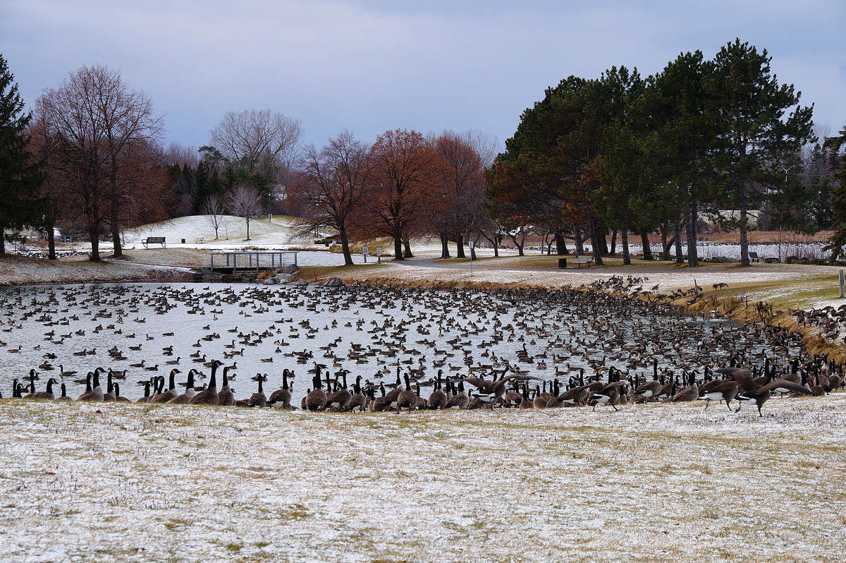 �������������� �������� ����� �������  �� PhotoGeek.ru #�������� ��� #������ ��� �������