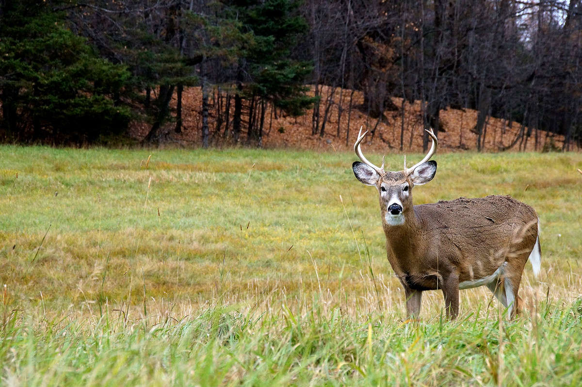 ������ ������ ����� �������  �� PhotoGeek.ru #�������� ���