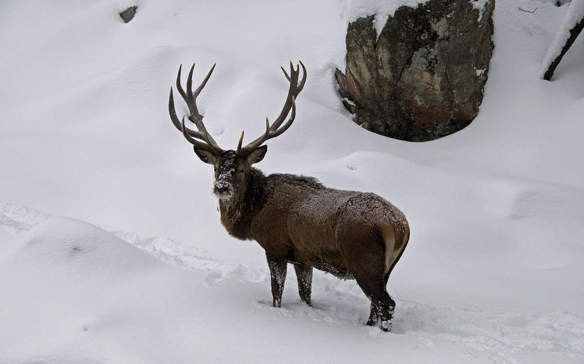 �� ��������� ����� ����� �������  �� PhotoGeek.ru #�������� ��� #������ ��� �������