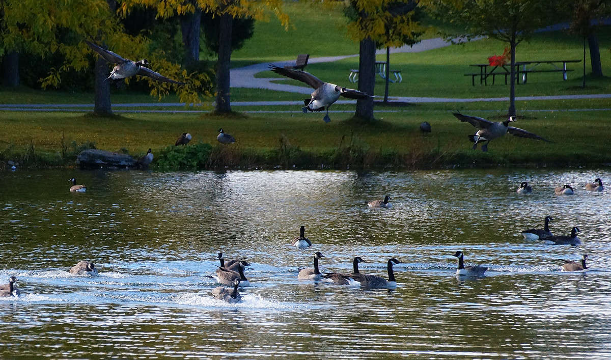 ������� �� ����! ����� �������  �� PhotoGeek.ru #�������� ��� #������ ��� �������