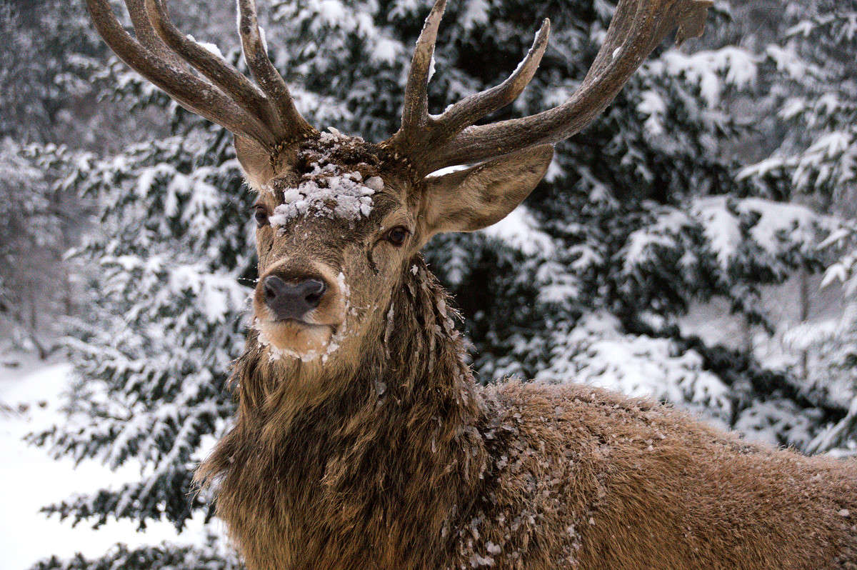 C ����� �����! ����� �������  �� PhotoGeek.ru #�������� ���