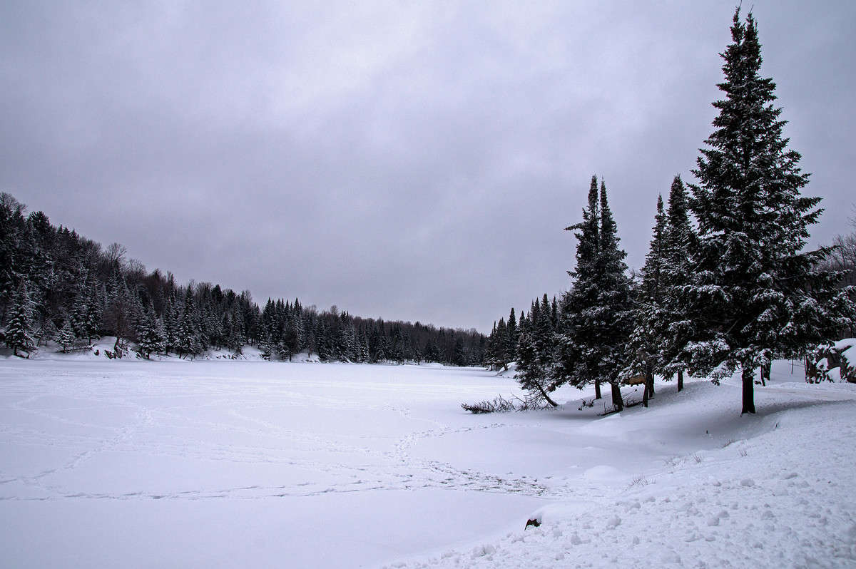 ������ ����� ����� �������  �� PhotoGeek.ru #�������� ��� #������ ��� �������