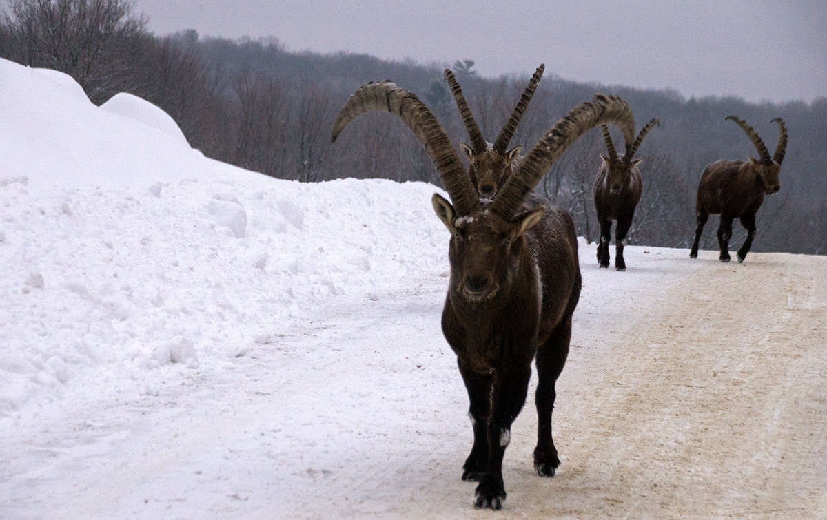 � ������� ����� ����� �������  �� PhotoGeek.ru #�������� ���