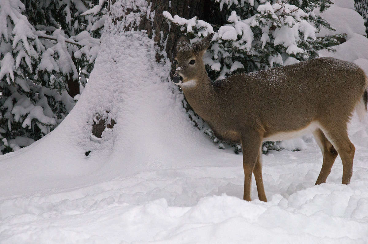 �� ����� �������� ����� �������  �� PhotoGeek.ru #�������� ���