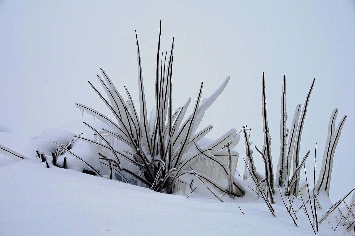 ��������� ����� �������  �� PhotoGeek.ru #������ ��� �������