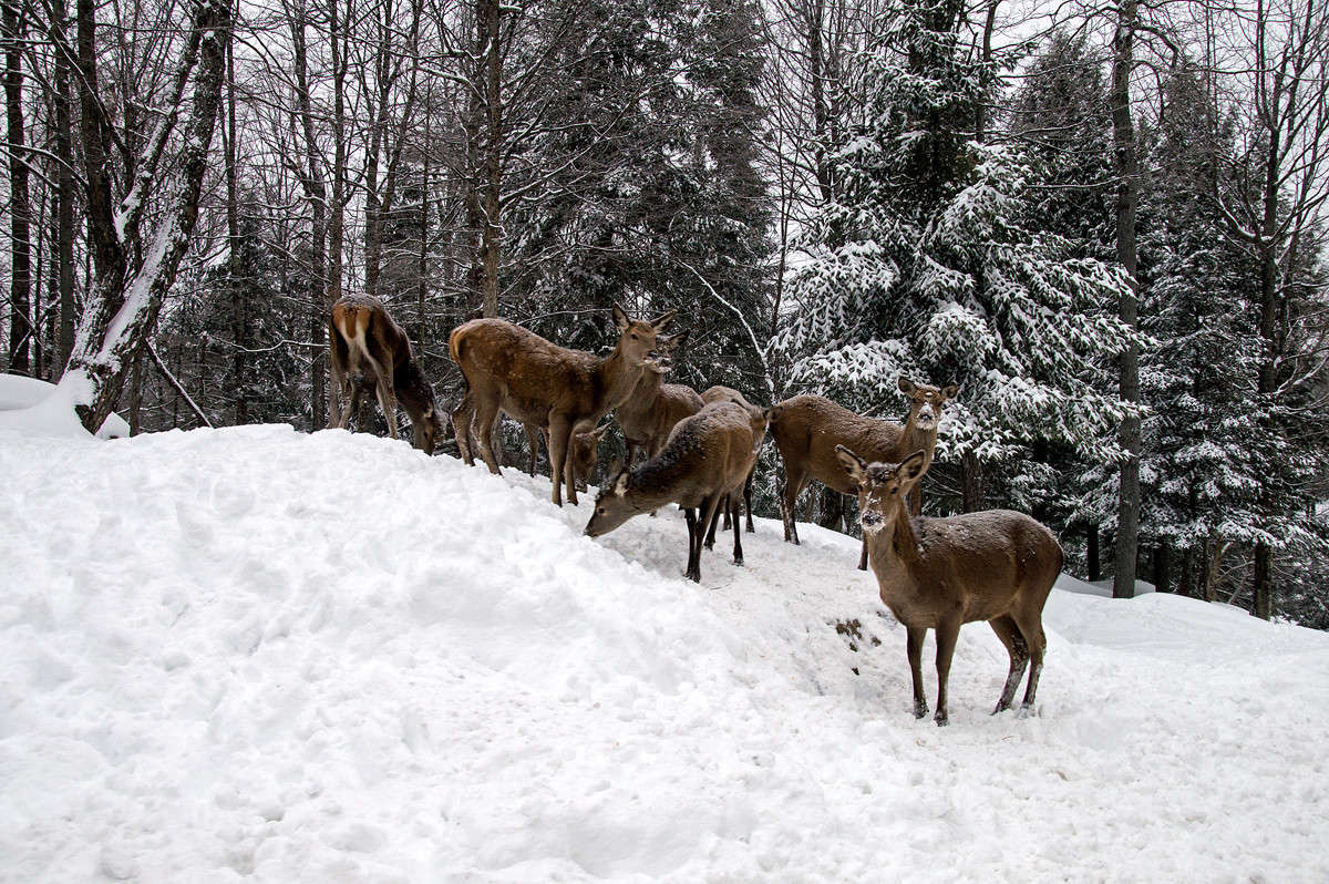 �� ������ ����� ����� �������  �� PhotoGeek.ru #�������� ��� #������ ��� �������