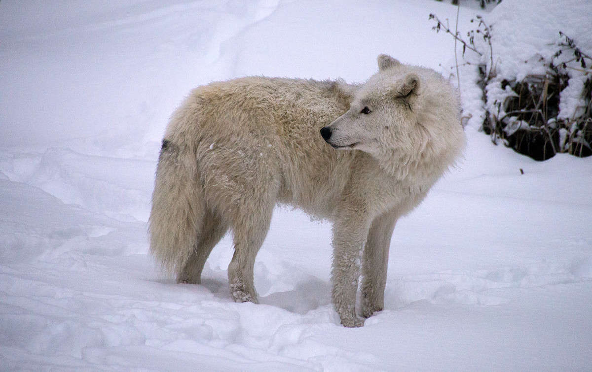 ��������� ����� �������� ����� �������  �� PhotoGeek.ru #�������� ��� #������ ��� �������