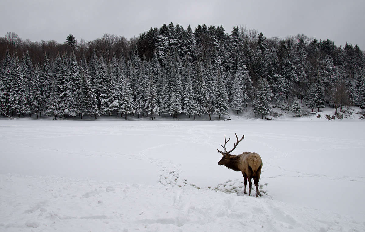 � ������� ������� ����� �������  �� PhotoGeek.ru #�������� ��� #������ ��� �������