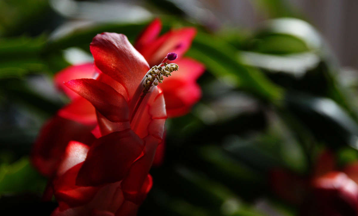 ������ ����� �������  �� PhotoGeek.ru #������ ��� �������