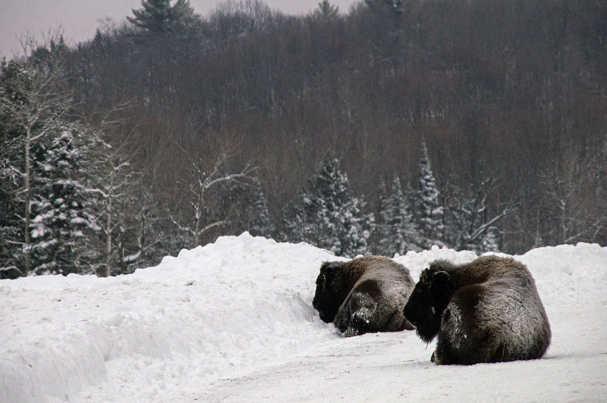 �� - ������ �������! ����� �������  �� PhotoGeek.ru #�������� ��� #������ ��� �������