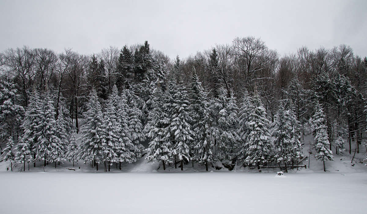 �� ����� ����� ����� ����� �������  �� PhotoGeek.ru #������ ��� �������