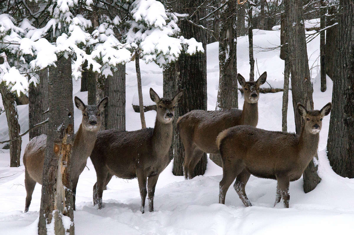 ��������� ���� ����� �������  �� PhotoGeek.ru #�������� ���