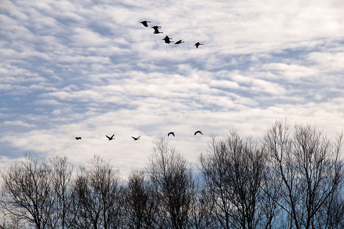 ���������� ����� �������  �� PhotoGeek.ru #�������� ��� #������ ��� �������