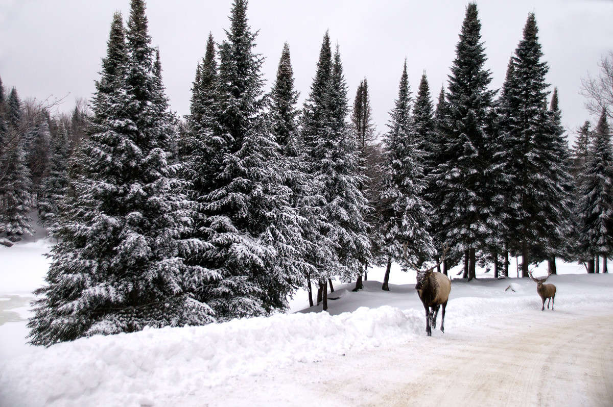 �������� ������� �������� ����� �������  �� PhotoGeek.ru #�������� ��� #������ ��� �������