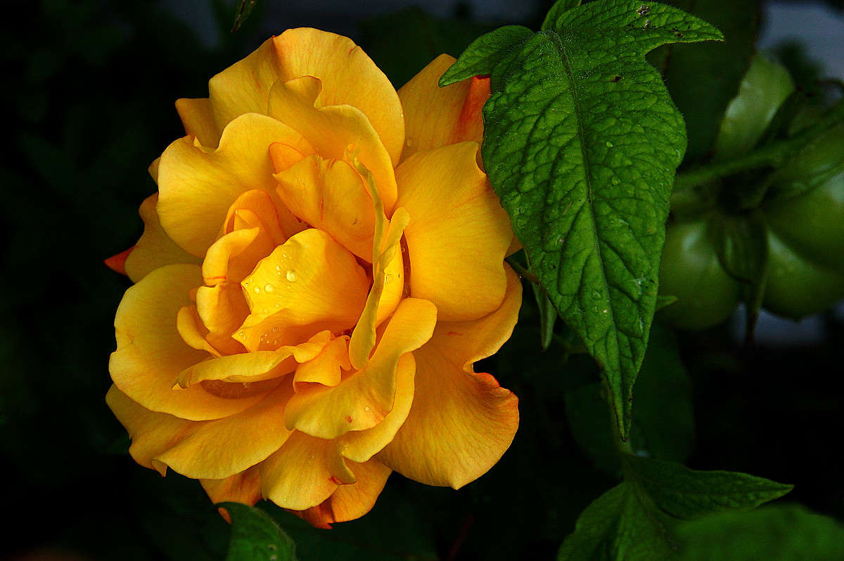 �� �������. ����� �������  �� PhotoGeek.ru #������ ��� �������