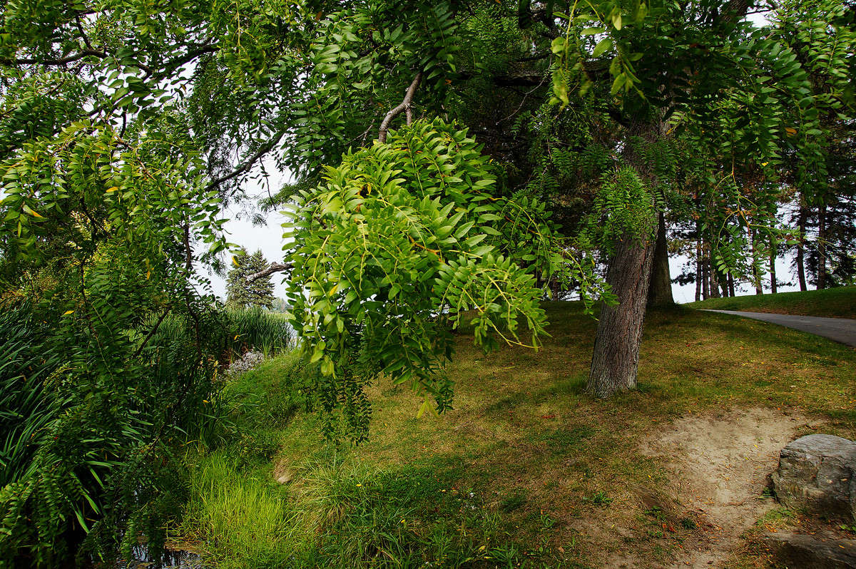 ... ����� �������  �� PhotoGeek.ru #������ ��� �������