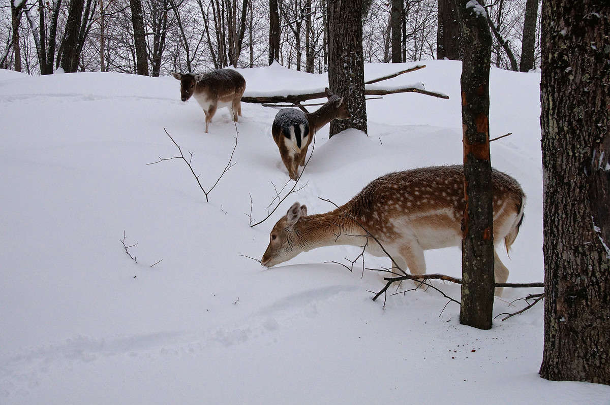 ���������� �� ������ ����� �������  �� PhotoGeek.ru #�������� ���