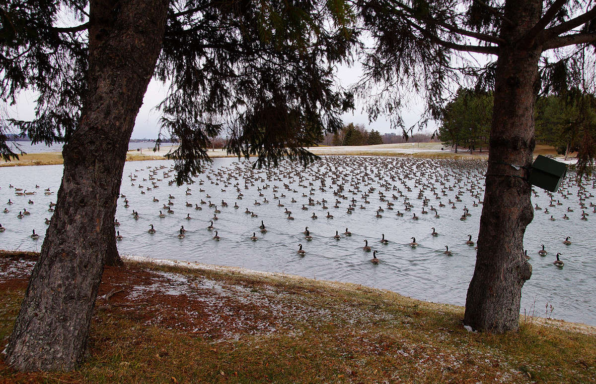 �������������� ����� ����� �������  �� PhotoGeek.ru #�������� ��� #������ ��� �������