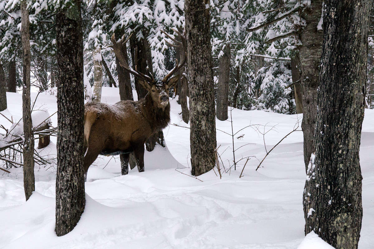 ��� ������� ������ ����� ����� �������  �� PhotoGeek.ru #�������� ��� #������ ��� �������