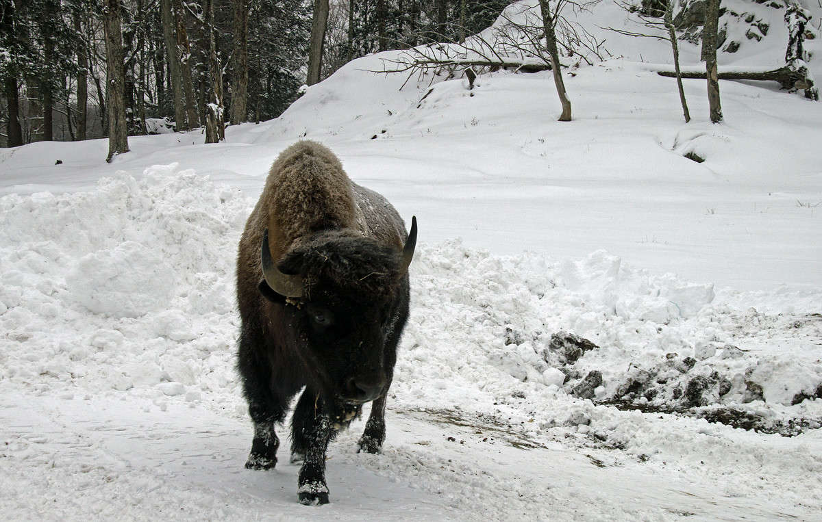 ����� �� ���� ����� �������  �� PhotoGeek.ru #�������� ���