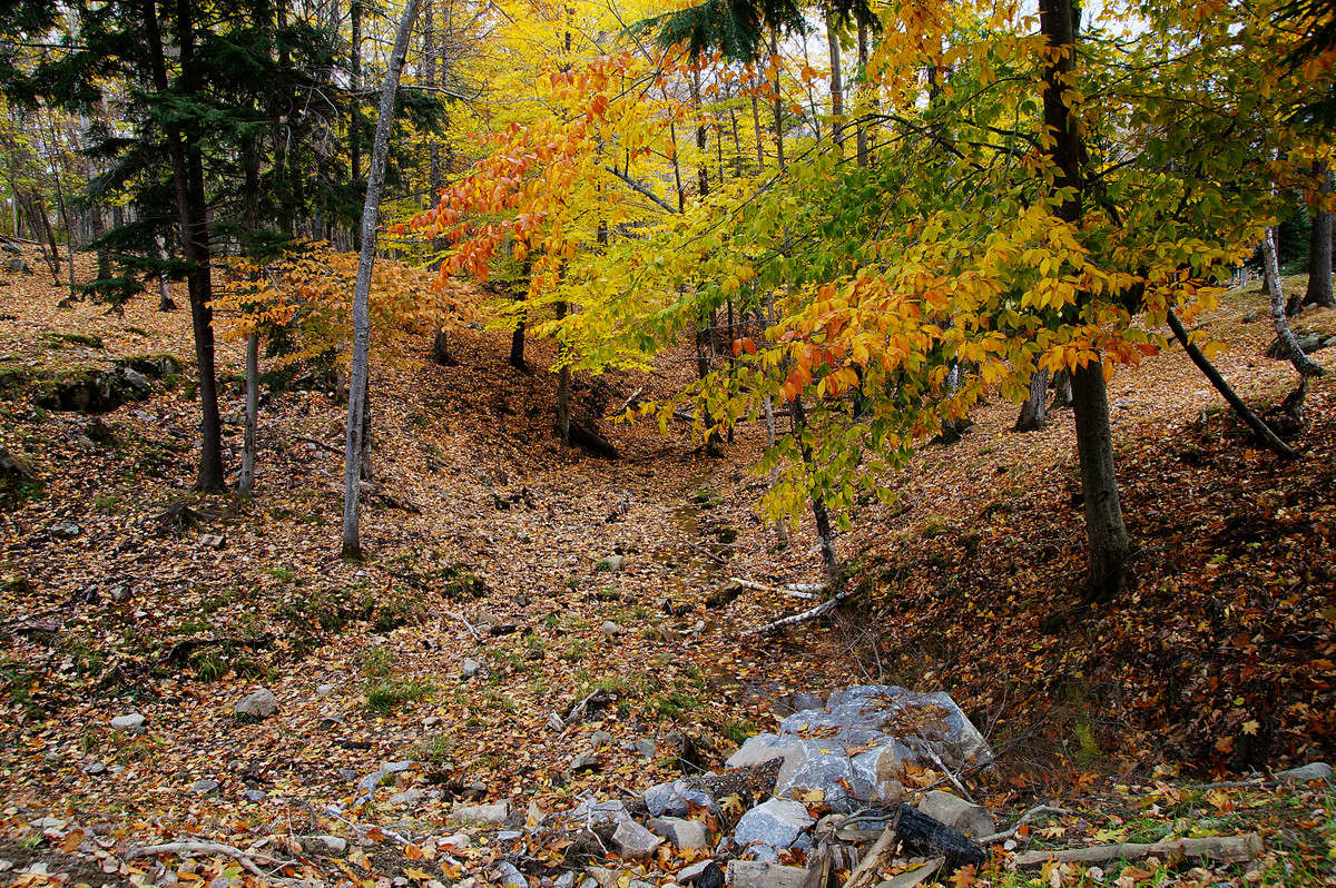 � �������� ����� �������  �� PhotoGeek.ru #������ ��� �������