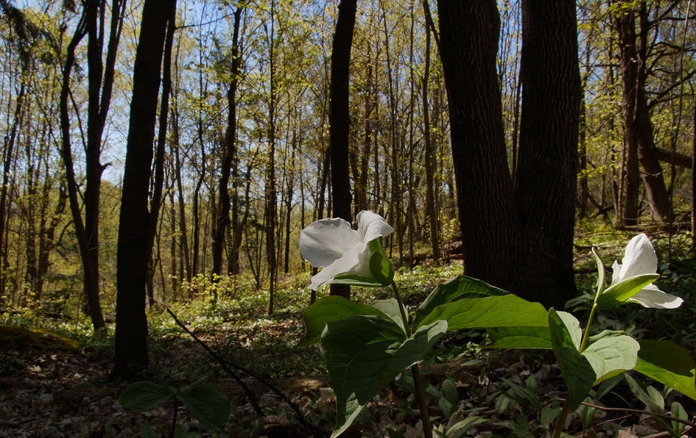 ������� ���� ����� �������  �� PhotoGeek.ru #������ ��� �������
