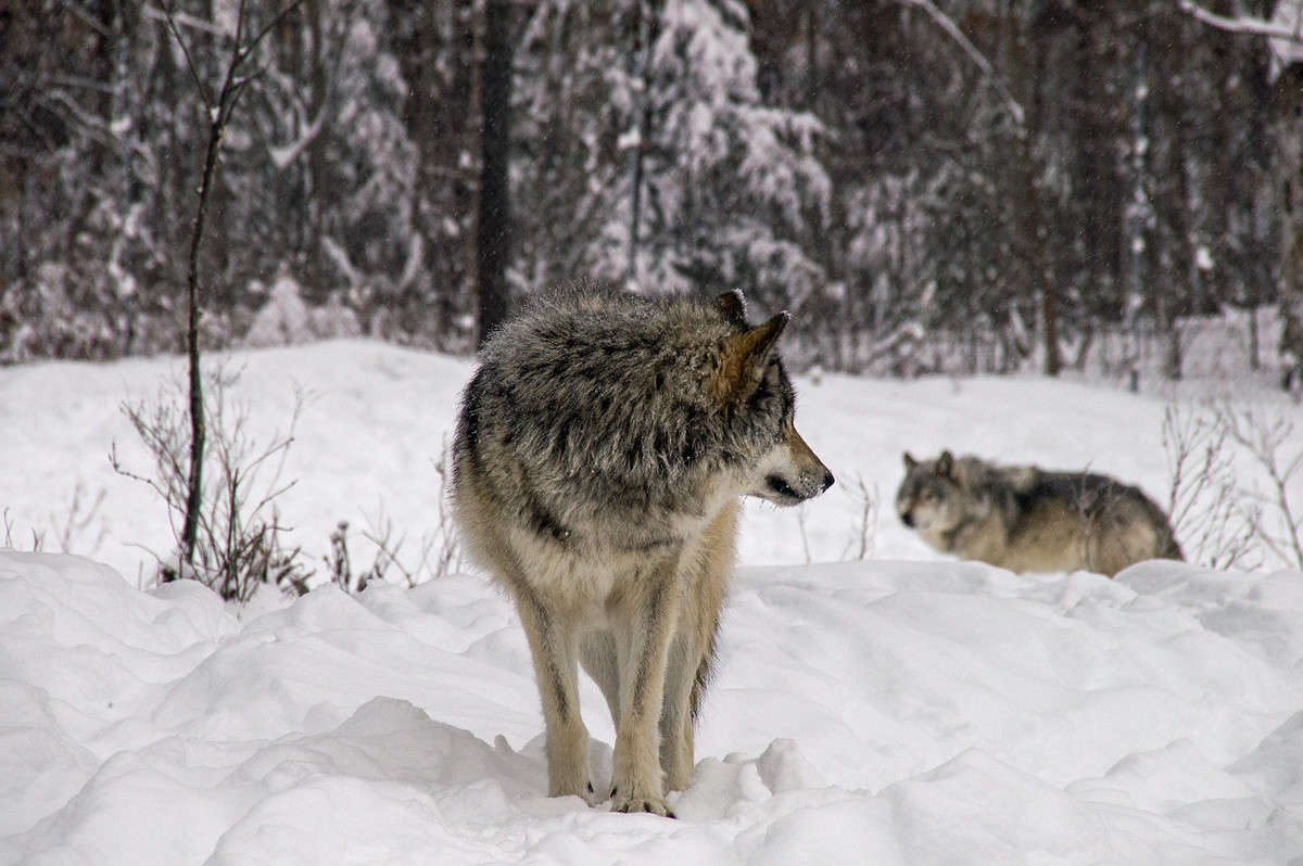 �������, ��� �� ����� �������  �� PhotoGeek.ru #�������� ���