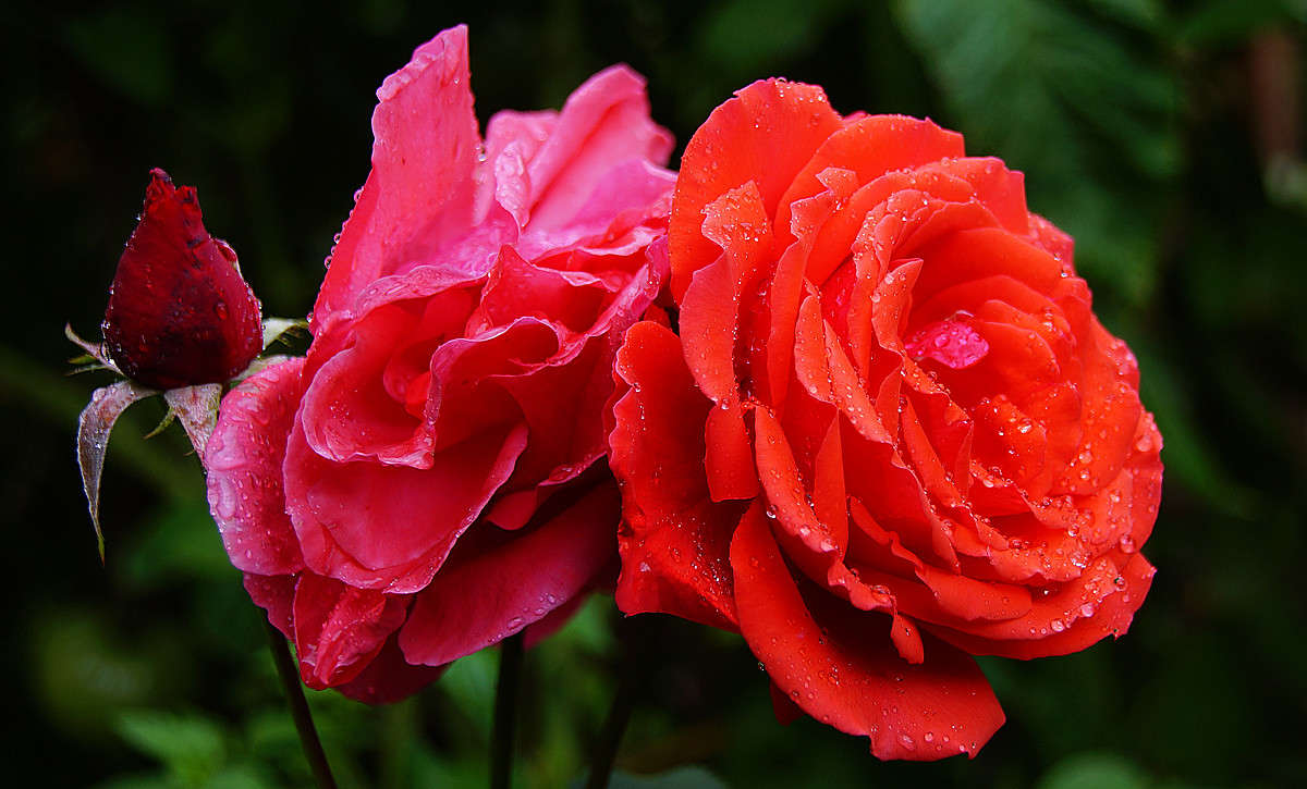 �������� ����� ����� �������  �� PhotoGeek.ru #������ ��� �������
